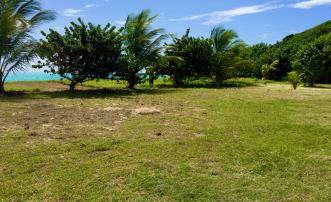 1 Acre Beachfront Land