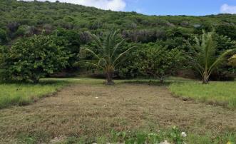 1 Acre Beachfront Land