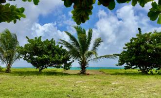 1 Acre Beachfront Land