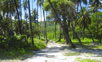 Firefly Hotel and Beach Estate Bequia 25.4 Acres