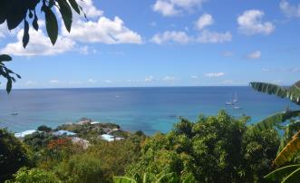 Lower Bay & Princess Margaret Ridge Land