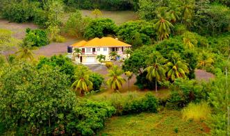 David Estate House and 8 Acres of Fertile Land