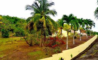 David Estate House and 8 Acres of Fertile Land