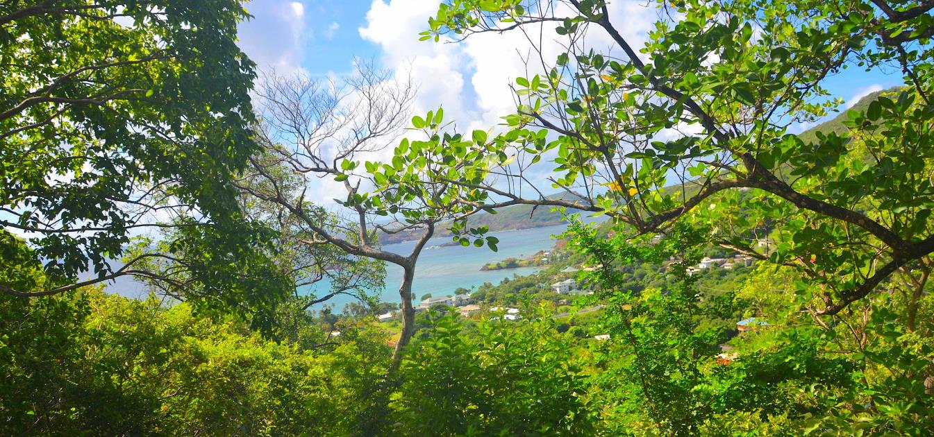 Bequia Estates LOT 1