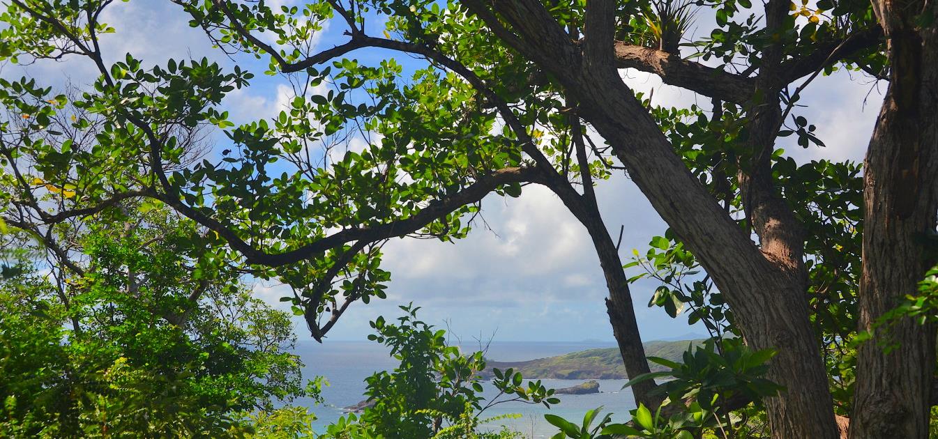 Bequia Estates LOT 1