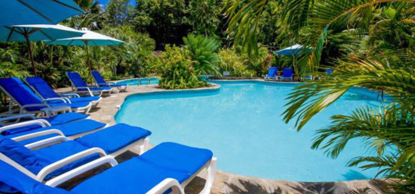 vacation-rentals/st-vincent-and-the-grenadines/st-vincent/young-island/young-island-luxury-suites-