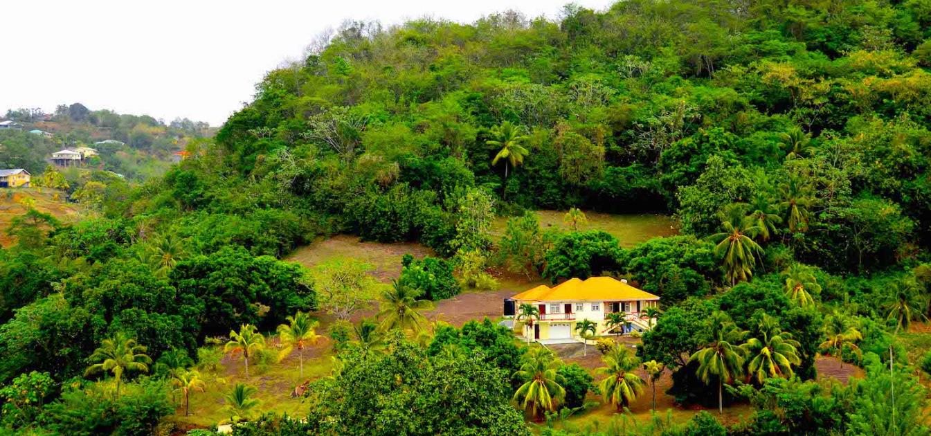 David Estate House and 8 Acres of Fertile Land