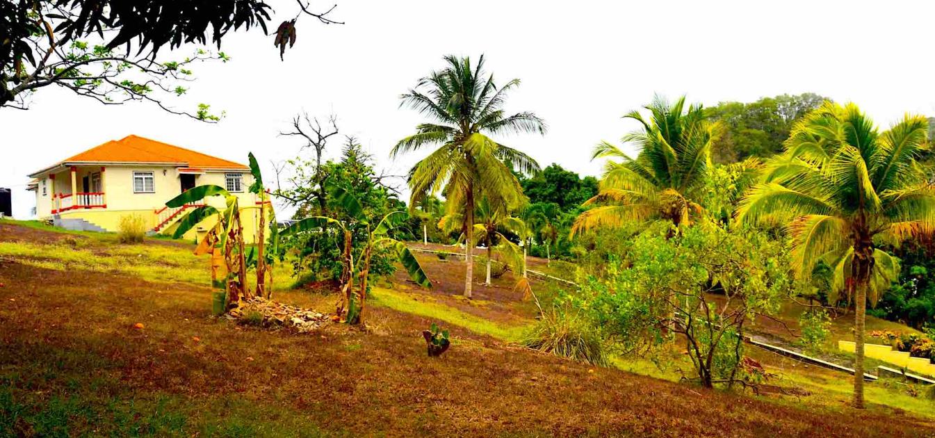 David Estate House and 8 Acres of Fertile Land